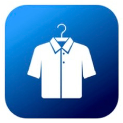 LaundryCareer